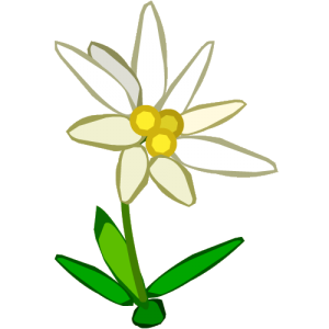 Edelweiss PNG-66304